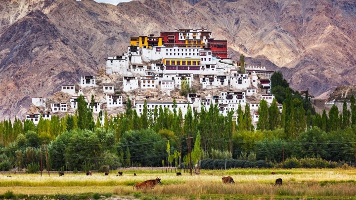 DU LỊCH LEH LADAKH ẤN ĐỘ NHỮNG ĐỊA ĐIỂM NỔI TIẾNG KHÔNG THỂ BỎ QUA NƠI VẺ ĐẸP HÙNG VĨ VÀ LẮNG SÂU HỘI TỤ   