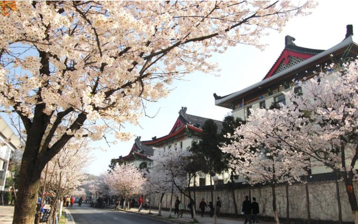 KHÁM PHÁ GIANG NAM TRUNG QUỐC MÙA XUÂN KHI HOA ANH ĐÀO NỞ RỘ TOUR TỪ HÀ NỘI -TP HCM THƯỢNG HẢI – HÀNG CHÂU – Ô TRẤN – TÔ CHÂU – BẮC KINH 7N6Đ NO SHOPPING HOTEL & HÀNG KHÔNG 4-5* 