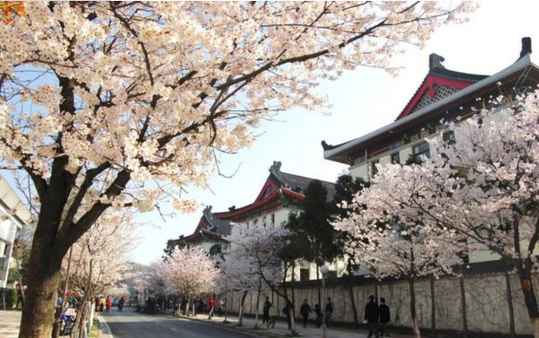 KHÁM PHÁ GIANG NAM TRUNG QUỐC MÙA XUÂN KHI HOA ANH ĐÀO NỞ RỘ TOUR TỪ HÀ NỘI -TP HCM THƯỢNG HẢI – HÀNG CHÂU – Ô TRẤN – TÔ CHÂU – BẮC KINH 7N6Đ NO SHOPPING HOTEL & HÀNG KHÔNG 4-5* 