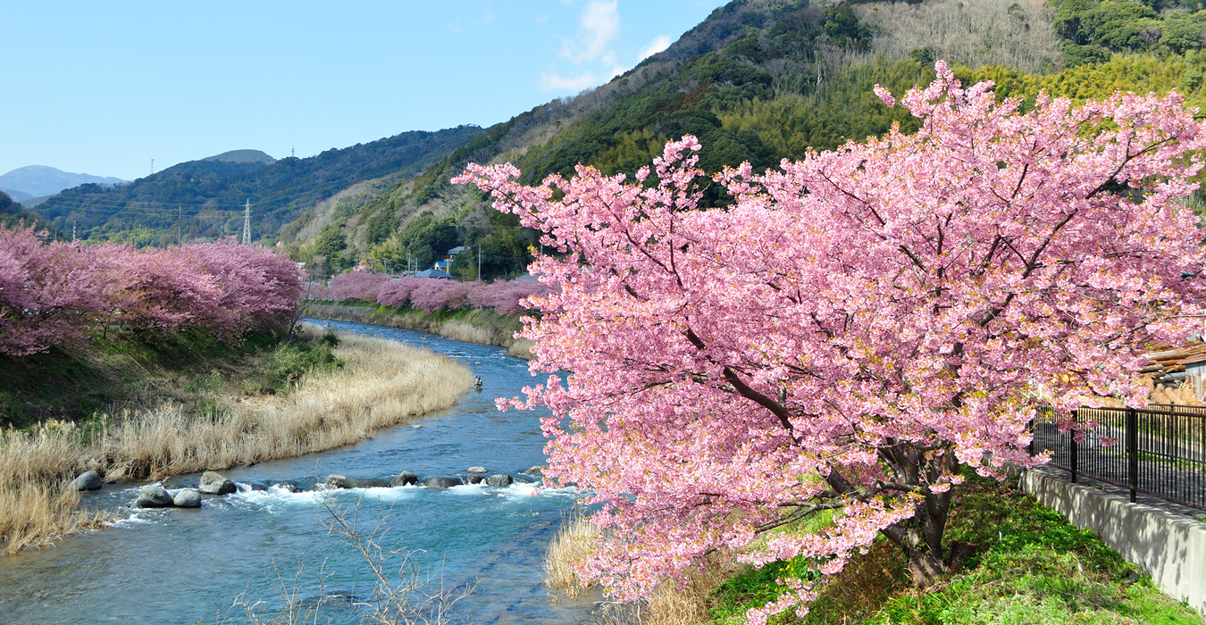 HÀ NỘI - TOKYO – PHÚ SỸ – NAGOYA – KYOTO – OSAKA