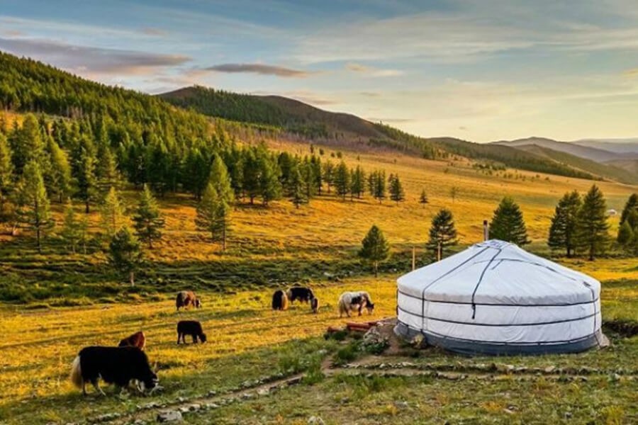 TOUR MÔNG CỔ TỪ HÀ NỘI - VỀ MIỀN TUYẾT TRẮNG  