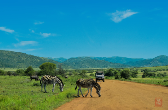 TOUR DU LỊCH NAM PHI 2025 GIÁ RẺ TỪ HÀ NỘI TP HỒ CHÍ MINH KHÁM PHÁ VÙNG ĐẤT CỦA SẮC MÀU VĂN HÓA VÀ THIÊN NHIÊN HÙNG VĨ BẢN TRUYỀN THỐNG 8 NGÀY 7 ĐÊM DU THUYỀN NGẮM CÁ VOI CHIÊM NGƯỠNG MÙA PHƯỢNG TÍM NỔI TIẾNG 