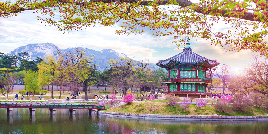 HÀN QUỐC ĐẢO JERU MÙA HOA ANH ĐÀO TỪ HÀ NỘI TP HCM BUSAN - ĐẢO JERU - CÔNG VIÊN TỰ NHIÊN HUEREE SEOUL NAMI TRẢI NGHIỆM HÁI DÂU CÔNG VIÊN YEOUIDO TOUR 6N5Đ ĐÁNH THỨC ĐAM MÊ KHÁM PHÁ DU LỊCH CỦA BẠN 