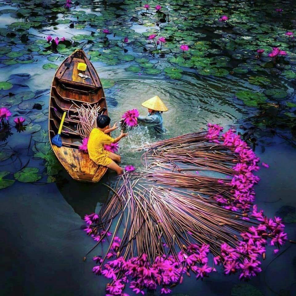 HÀ NỘI -MIỀN TÂY - KHÁM PHÁ LỤC TỈNH ĐỒNG BẰNG SÔNG CỬU LONG CẦN THƠ - SÓC TRĂNG - BẠC LIÊU - CÀ MAU - ĐẤT MŨI - CHÂU ĐỐC - TIỀN GIANG - BẾN TRE 