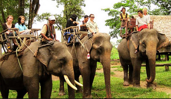 TOUR DU LỊCH HÀ NỘI - TÂY NGUYÊN -  ĐÀ LẠT – BUÔN MÊ THUẬT- VỀ BAN MÊ ĐẠI NGÀN MÊ SAY CÙNG KHÚC HÁT CAO NGUYÊN LỘNG GIÓ